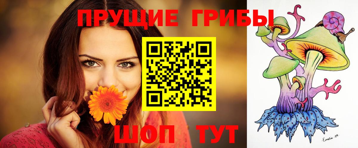 Котлас  Псилоцибиновые грибы Psilocybine cubensis  Галлюциногенные грибы Magic Shrooms  Вход с VPN 